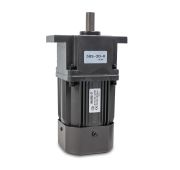 Мотор-редуктор 5RK60RGU-CF для BS-4535LA