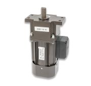 Мотор-редуктор для BSF-5545LE (5RK120GU-UF-T/5GS10-K)